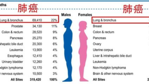 男性专属癌症为何确诊时多是晚期 第1张 男性专属癌症为何确诊时多是晚期 第1张