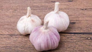 晒太阳致癌与吃大蒜防癌真相揭秘 第1张 晒太阳致癌与吃大蒜防癌真相揭秘 第1张