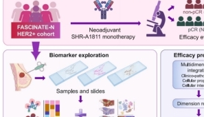 中国专家首创AI模型精准指导乳腺癌新一代用药方案  第1张
