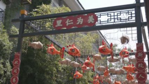 海内外青年创客聚首扬州古运河畔共绘文旅融合新图景