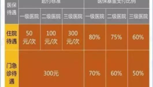 上海医保创新推出新生儿参保免申办服务 第1张 上海医保创新推出新生儿参保免申办服务 第1张