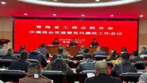 青海省市场与乡镇商会发展实现零突破 第1张 青海省市场与乡镇商会发展实现零突破 第1张