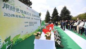 生态葬兴起引领环保理念开启生命绿色归途 第1张 生态葬兴起引领环保理念开启生命绿色归途 第1张