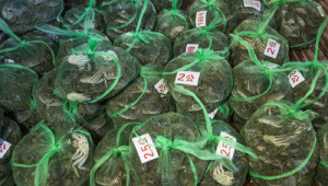 五一这五类人最好别出门原因让人意想不到 第1张 五一这五类人最好别出门原因让人意想不到 第1张