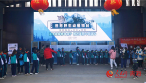 青海举办年世界野生动植物日主场宣传活动 第1张 青海举办年世界野生动植物日主场宣传活动 第1张