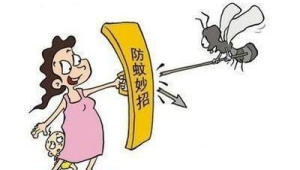 蚊子叮咬快速止痒四法愿君无恙  第1张