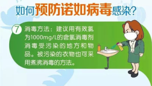 预防诺如病毒感染牢记这五点 第1张 预防诺如病毒感染牢记这五点 第1张