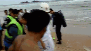 夏天海边看到这个立刻跑别用手碰