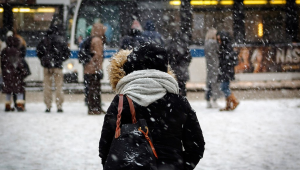 风雪回家路出行攻略驾车走路骑车注意事项全解析 第1张 风雪回家路出行攻略驾车走路骑车注意事项全解析 第1张