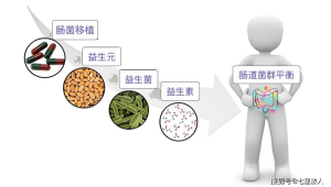 免疫力追求平衡而非极致 第1张 免疫力追求平衡而非极致 第1张