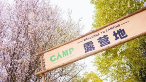 国产电影带动文旅热潮春日旅游解锁新玩法 第1张 国产电影带动文旅热潮春日旅游解锁新玩法 第1张