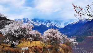 高原绿意浓生态红利惠民生 第1张 高原绿意浓生态红利惠民生 第1张