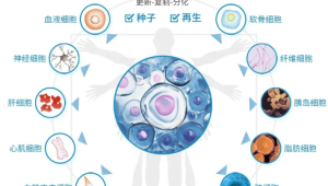 中国首例自体干细胞疗法成功助力帕金森病患者全天自主行走 第1张 中国首例自体干细胞疗法成功助力帕金森病患者全天自主行走 第1张