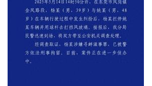 东莞男子别车后持球杆砸挡风玻璃遭刑拘