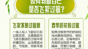北京发布今年首个飞絮预报及防护指南  第1张
