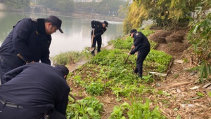 广西精准治理漓江支流全力保障水环境安全 第1张 广西精准治理漓江支流全力保障水环境安全 第1张