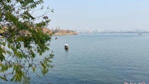 乙巳蛇年新春第一爆CP组合缘何走红网络 第1张 乙巳蛇年新春第一爆CP组合缘何走红网络 第1张