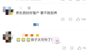 天降乌龟砸中幼童致死头顶安全无小事