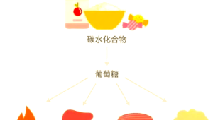 躺进高科技人体能量舱就能消除结节降血压 第1张 躺进高科技人体能量舱就能消除结节降血压 第1张