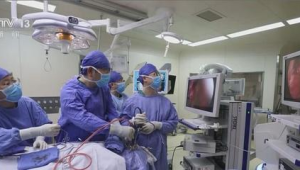 中国科研团队研发无线微创脑机接口助力患者治疗 第1张 中国科研团队研发无线微创脑机接口助力患者治疗 第1张