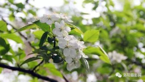 花粉来袭你的春天还好吗 第1张 花粉来袭你的春天还好吗 第1张