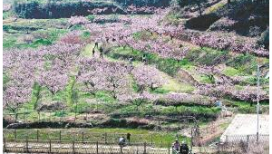 抢不到不会用消费券适老化改造势在必行 第1张 抢不到不会用消费券适老化改造势在必行 第1张