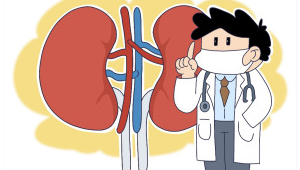 尿毒症年轻化这些习惯正在毁掉你的肾 第1张 尿毒症年轻化这些习惯正在毁掉你的肾 第1张