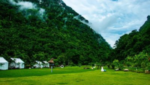 傣医药赋能西双版纳康养旅居目的地建设 第1张 傣医药赋能西双版纳康养旅居目的地建设 第1张