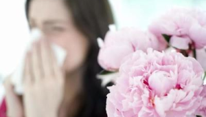 春季花粉过敏高发专家提醒感冒药抗过敏药勿同服 第1张 春季花粉过敏高发专家提醒感冒药抗过敏药勿同服 第1张