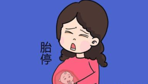 孕期必知五招远离李斯特菌守护母婴健康 第1张 孕期必知五招远离李斯特菌守护母婴健康 第1张