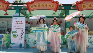 五一河南南阳艾草奇妙游开启沉浸式中医文化盛宴 第1张 五一河南南阳艾草奇妙游开启沉浸式中医文化盛宴 第1张