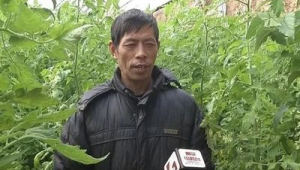 山西高平村民搬迁新居发展蔬菜产业走上致富路