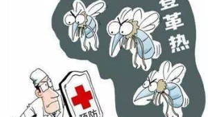 夏季高发夺命疾病已致十几万死亡速看防范