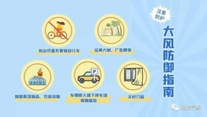 大风天气如何做好健康防护 第1张 大风天气如何做好健康防护 第1张