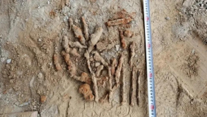 河南许昌发现具遗骸初步判断与三冀阻击战有关 第1张 河南许昌发现具遗骸初步判断与三冀阻击战有关 第1张