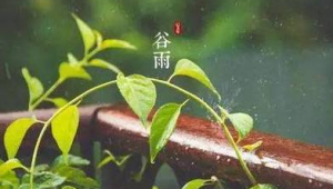 明日谷雨节气将至专家提醒春捂有度保健康 第1张 明日谷雨节气将至专家提醒春捂有度保健康 第1张