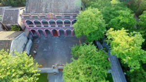 粤港澳黄埔后人共植酸子树弘扬孙中山爱国精神 第1张 粤港澳黄埔后人共植酸子树弘扬孙中山爱国精神 第1张