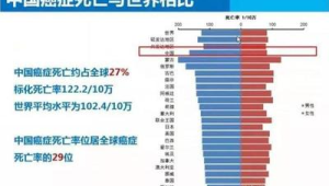 肺癌连续十年居癌症死亡率首位专家提醒CT早筛是关键 第1张 肺癌连续十年居癌症死亡率首位专家提醒CT早筛是关键 第1张