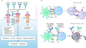 肝癌治疗新突破毫米精准围剿技术带来希望 第1张 肝癌治疗新突破毫米精准围剿技术带来希望 第1张