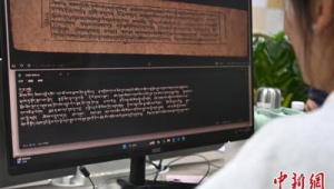 藏族IT青年返乡助力古籍数字化与菌菇产业升级 第1张 藏族IT青年返乡助力古籍数字化与菌菇产业升级 第1张