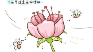 春季花粉过敏高发应对指南 第1张 春季花粉过敏高发应对指南 第1张