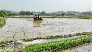 广西启动农业干旱Ⅳ级应急响应多措并举抗旱保春耕 第1张 广西启动农业干旱Ⅳ级应急响应多措并举抗旱保春耕 第1张