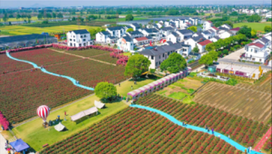 低空经济赋能乡村振兴新路径 第1张 低空经济赋能乡村振兴新路径 第1张