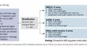 肿瘤专家谈ROS肺癌治疗新突破好药应用在前 第1张 肿瘤专家谈ROS肺癌治疗新突破好药应用在前 第1张