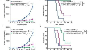 中国团队研发新型疫苗佐剂为恶性肿瘤治疗提供突破性利器 第1张 中国团队研发新型疫苗佐剂为恶性肿瘤治疗提供突破性利器 第1张