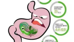 专家建议根除幽门螺杆菌以降低胃癌风险 第1张 专家建议根除幽门螺杆菌以降低胃癌风险 第1张