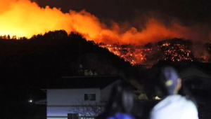 山西壶关山火火情已基本得到控制 第1张 山西壶关山火火情已基本得到控制 第1张
