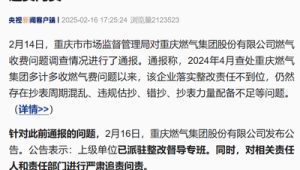 重庆燃气对相关责任人和责任部门进行追责问责 第1张 重庆燃气对相关责任人和责任部门进行追责问责 第1张
