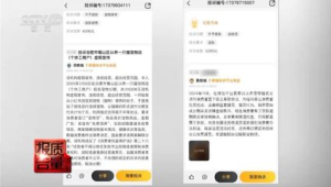 免费送猫背后的天价陷阱揭秘 第1张 免费送猫背后的天价陷阱揭秘 第1张