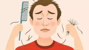 长期错误饮食或成脱发元凶 第1张 长期错误饮食或成脱发元凶 第1张